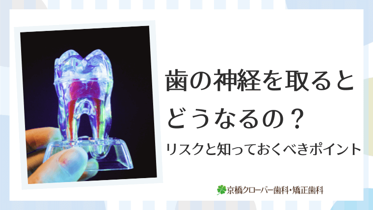 歯の神経を取るとどうなるの？