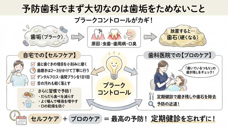 歯垢をしっかり落とすには？の図解