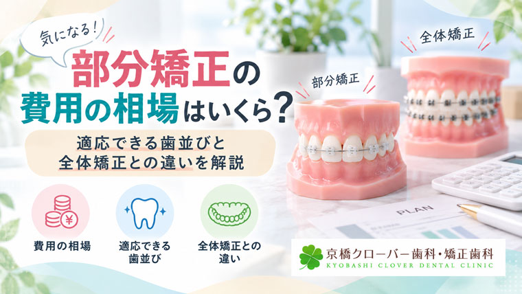 部分矯正の費用の相場はいくら？適応できる歯並びと全体矯正との違い