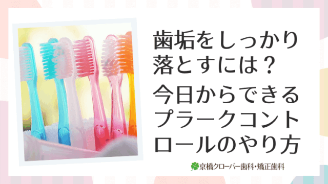 歯垢をしっかり落とすには？