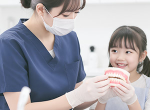 歯の模型を使って説明する歯科医師