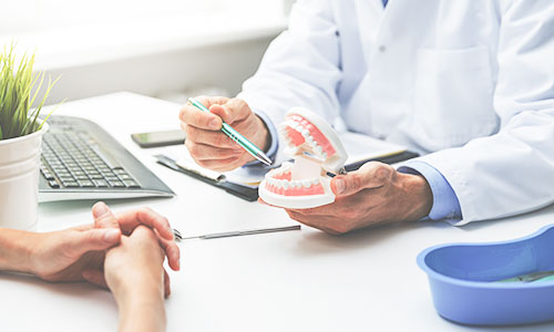 歯の模型で説明する歯科医師